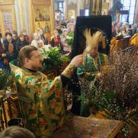 на Вход Господень в Иерусалим, Вербное воскресенье, в храме святого пророка Иоанна Предтечи были совершены праздничные воскресные богослужения. Традиционно праздник собрал в стенах храма большое количество прихожан